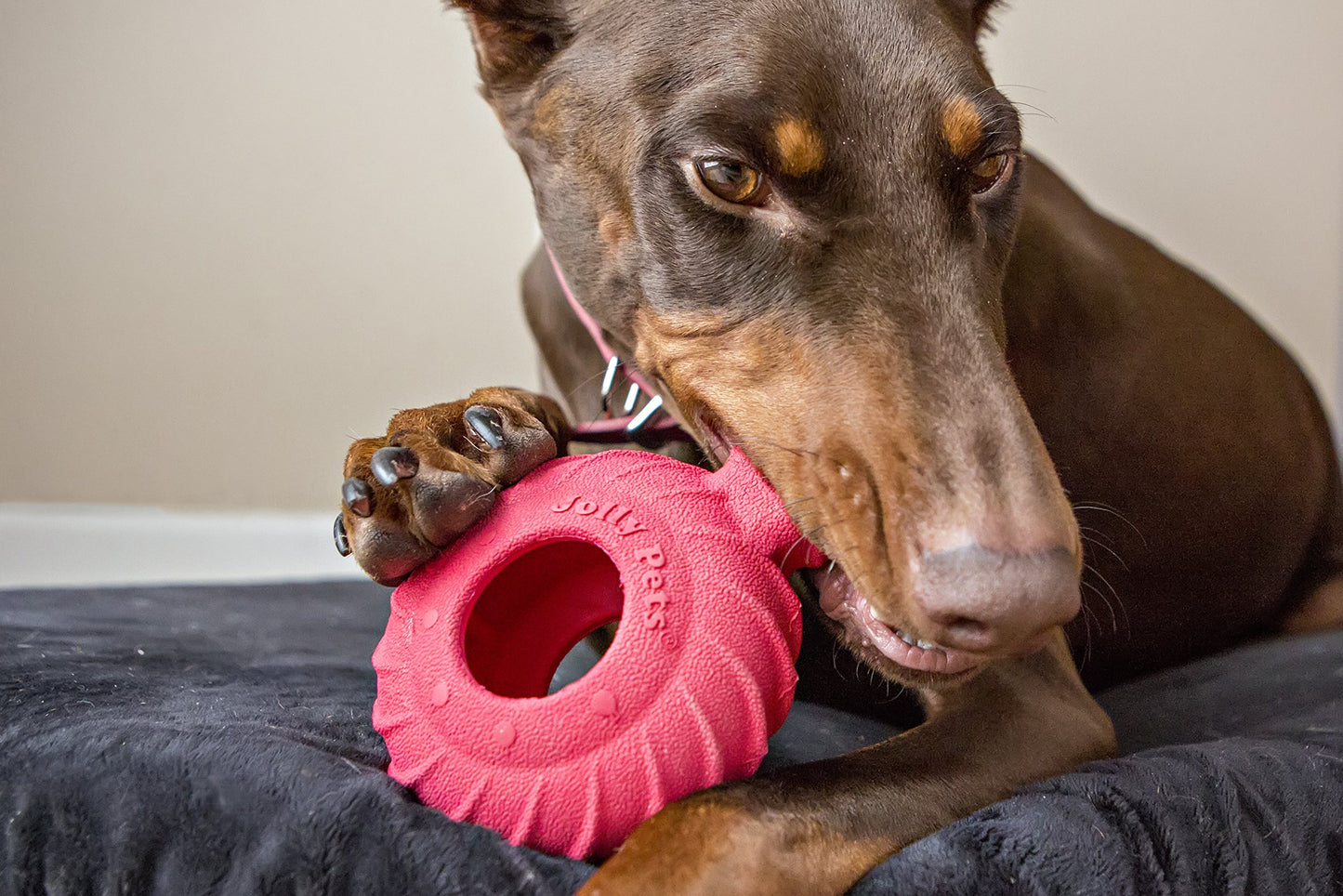 Jolly Pets 4.5"" Jolly Tuff Treader, Red, JTR22