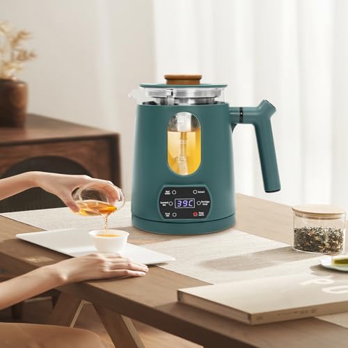 Electric Tea Kettle with Temperature Control - Fast Boiling Electric Tea Pot, Water Boiler & Heater for Coffee, Auto Shut-Off & Boil-Dry Protection