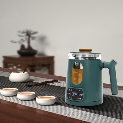 Electric Tea Kettle with Temperature Control - Fast Boiling Electric Tea Pot, Water Boiler & Heater for Coffee, Auto Shut-Off & Boil-Dry Protection