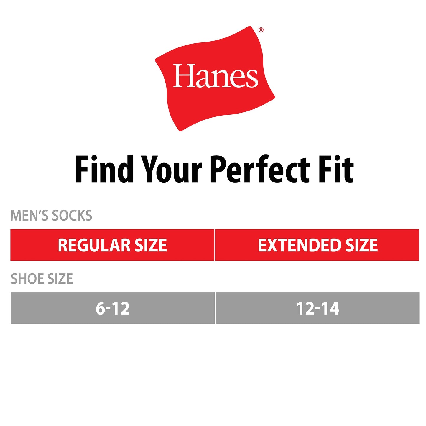 Hanes mens X-temp Lightweight No Show Socks, 12-pair Pack Casual Sock, White, 6 12 US