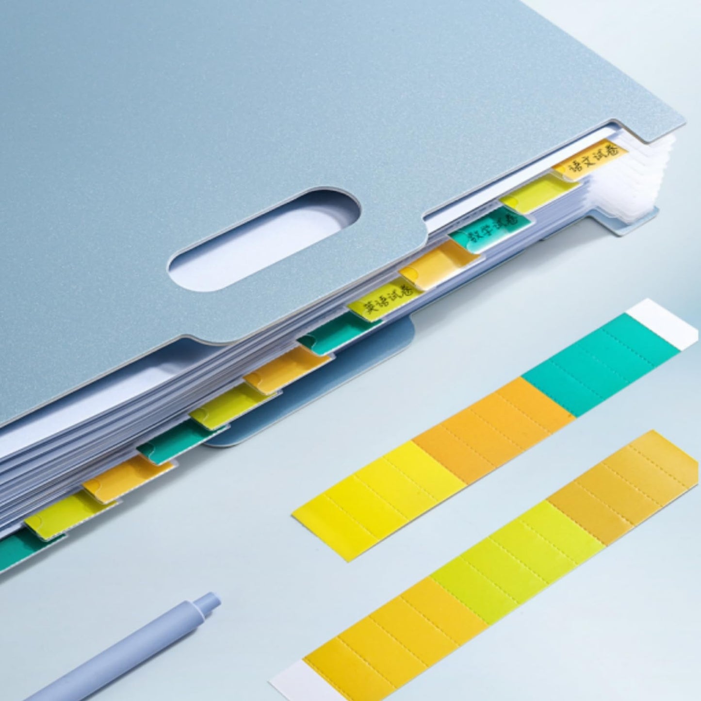 Accordion File Organizer 13 Pockets, Expanding File Folders, Letter Size, Monthly Bill Receipt Organizer, Upright (Green)