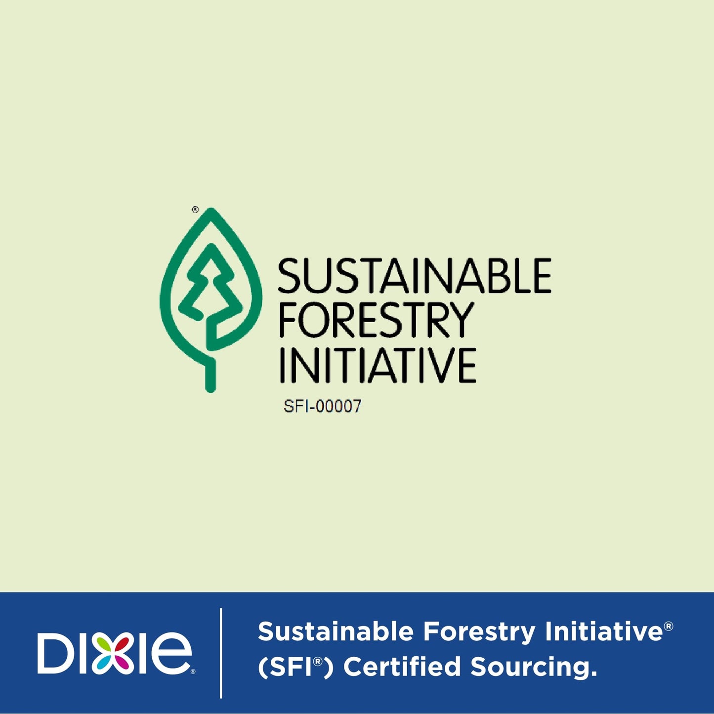 Dixie Large Paper Plates, 10 Inch, 204 Count, 2X Stronger*, Microwave-Safe, Soak-Proof, Cut Resistant, Disposable Plates For Everyday Breakfast, Lunch, & Dinner Meals