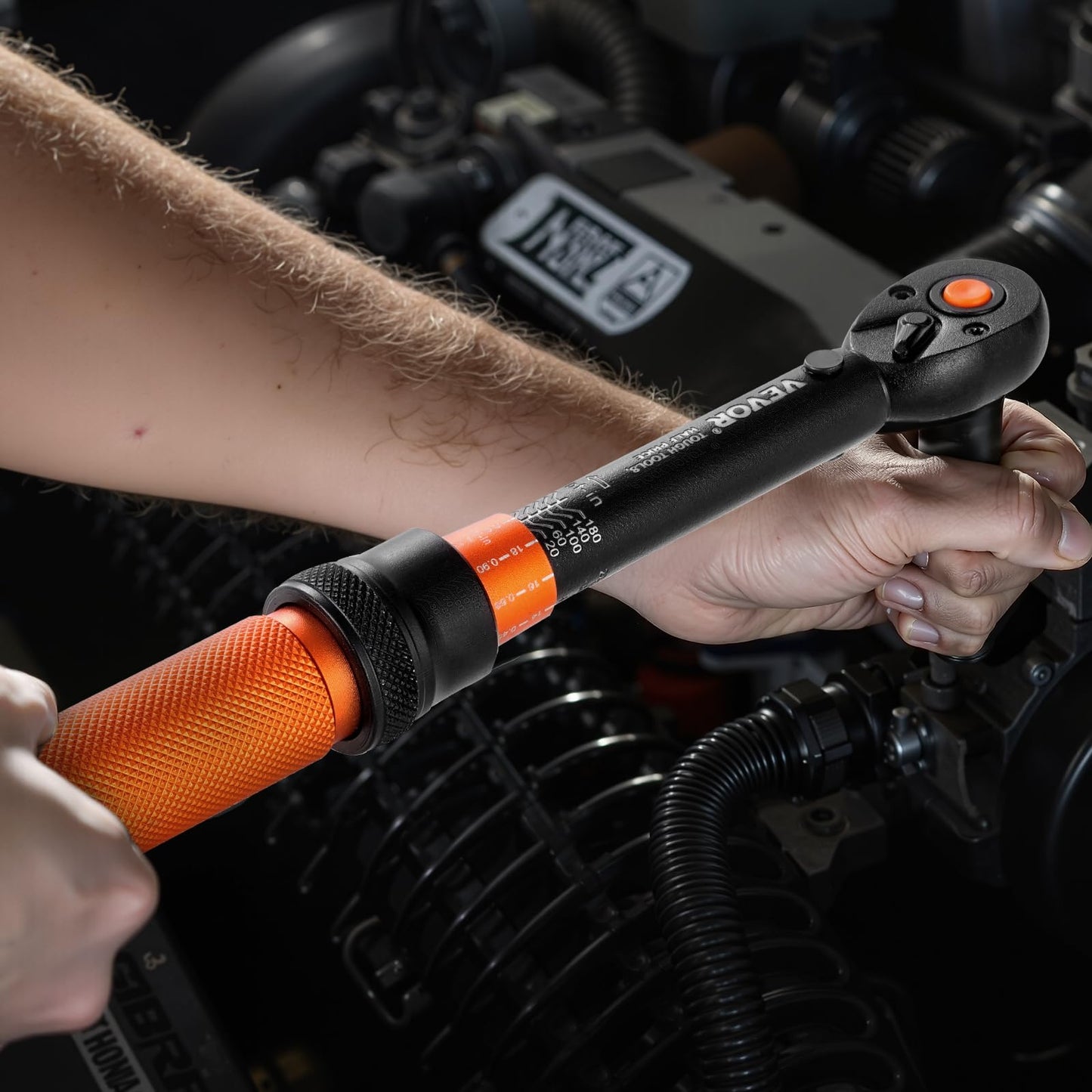 VEVOR 13Pcs Torque Wrench Set, 1/4 Inch Drive, 20-200IN.LB(2.3-22.6Nm), 72-Tooth Click Torque Wrench with Hex/Torx/Sockets, Extension Bars, for Bicycle Motorcycle Maintenance