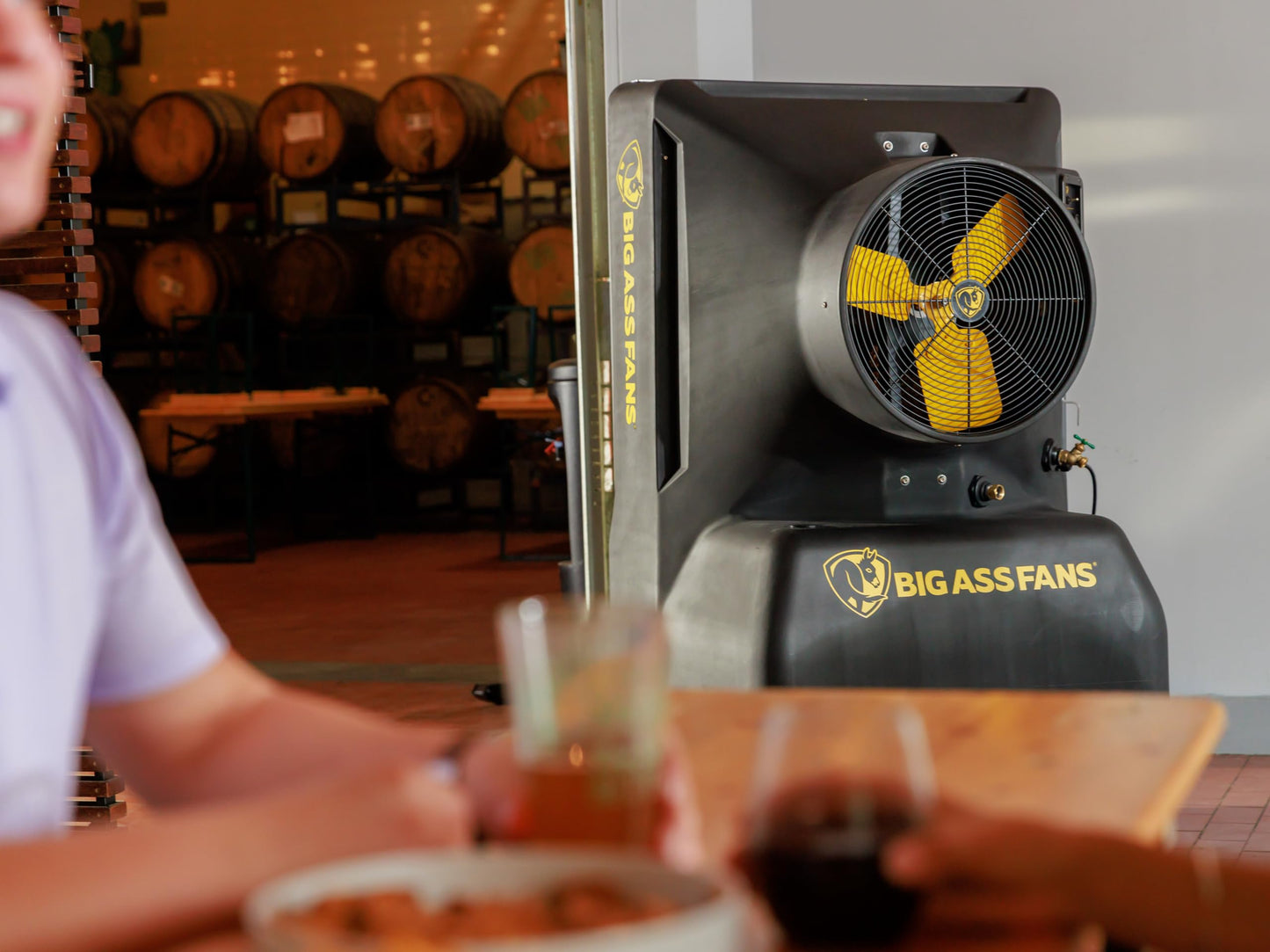 Big Ass Fans - Cool-Space 350 - Portable Evaporative Swamp Cooler, Indoor and Outdoor Use, 16 Gallon Capacity, Variable Speed for Ultimate Cooling in Workshops and Garages