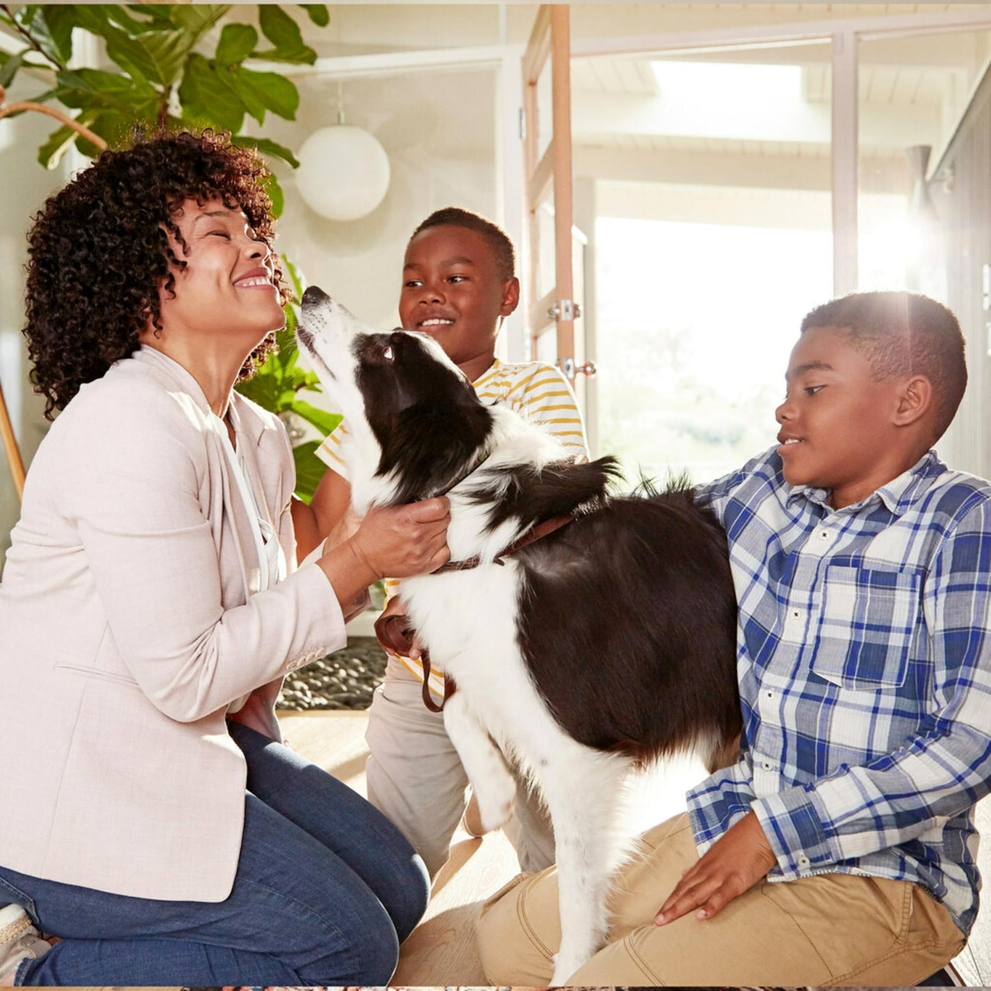 Filtrete 20x30x1 Air Filter, MPR 300, MERV 5, Clean Living Basic Dust 3-Month Pleated 1-Inch Air Filters, 6 Filters