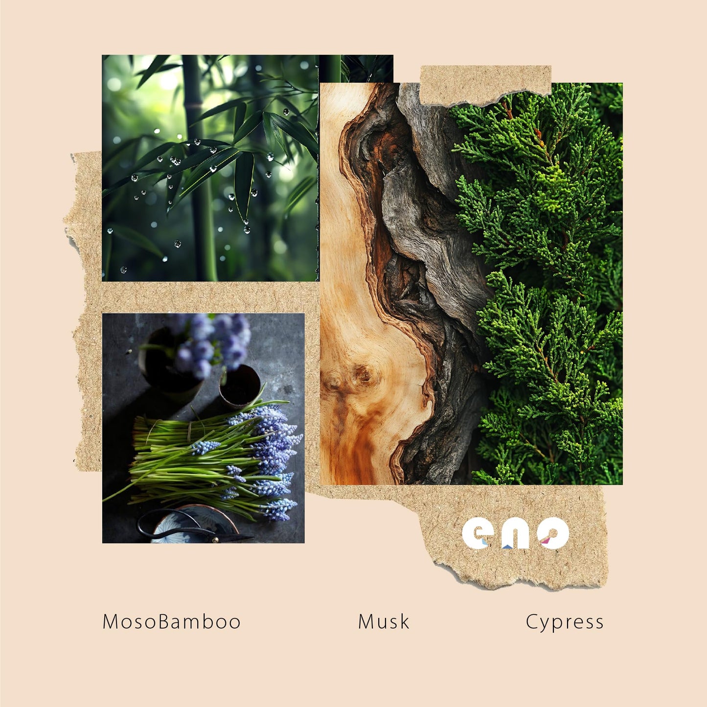 SoxComfy Reed Diffuser Set with Really Dried Flowers, Essential Oils Scented Diffuser with Sticks, Air Fresheners Home Fragrance for Bathroom Shelf Decor & Gift, 5.1oz / 150ml