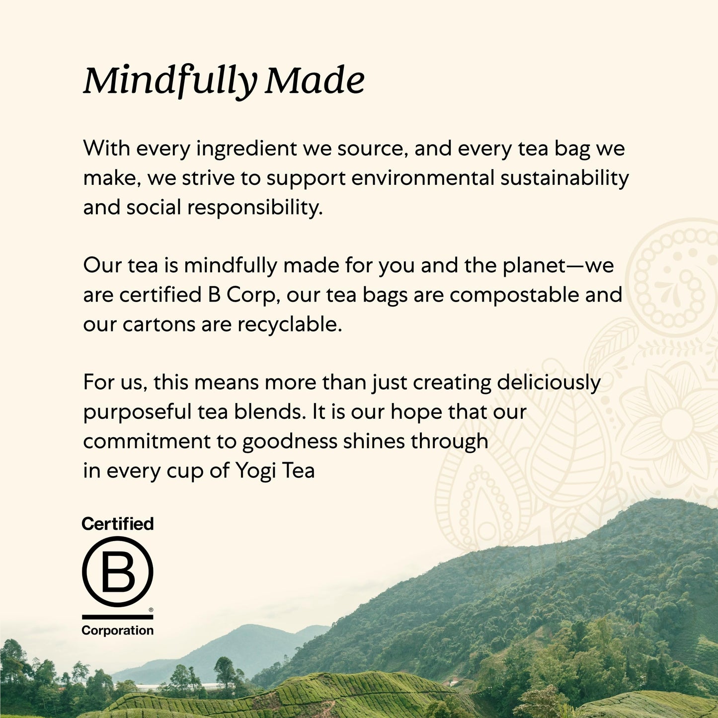 Yogi Sweet Tangerine Positive Energy Tea - 16 Tea Bags per Pack (6 Packs) - Organic Tangerine Energy Tea - Includes Black Tea Leaf, Yerba Mate Leaf, Ashwagandha Root & More