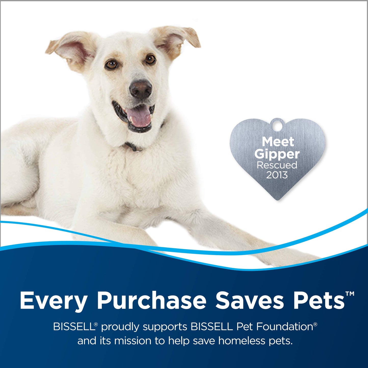 Bissell DeepClean + Refresh with Febreze Freshness Spring & Renewal Formula, 1052A, 60 Ounces